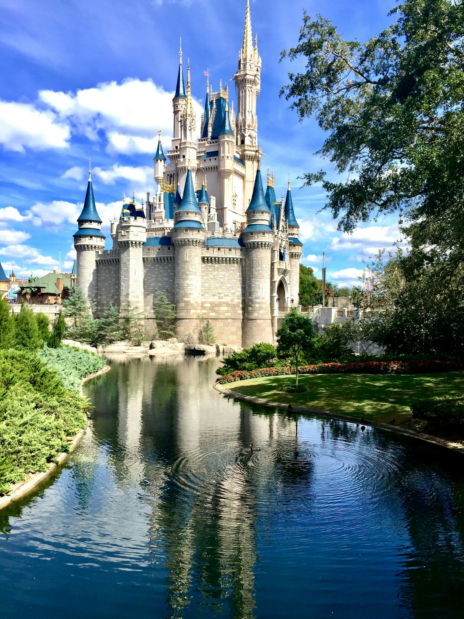 DVC Castle 2