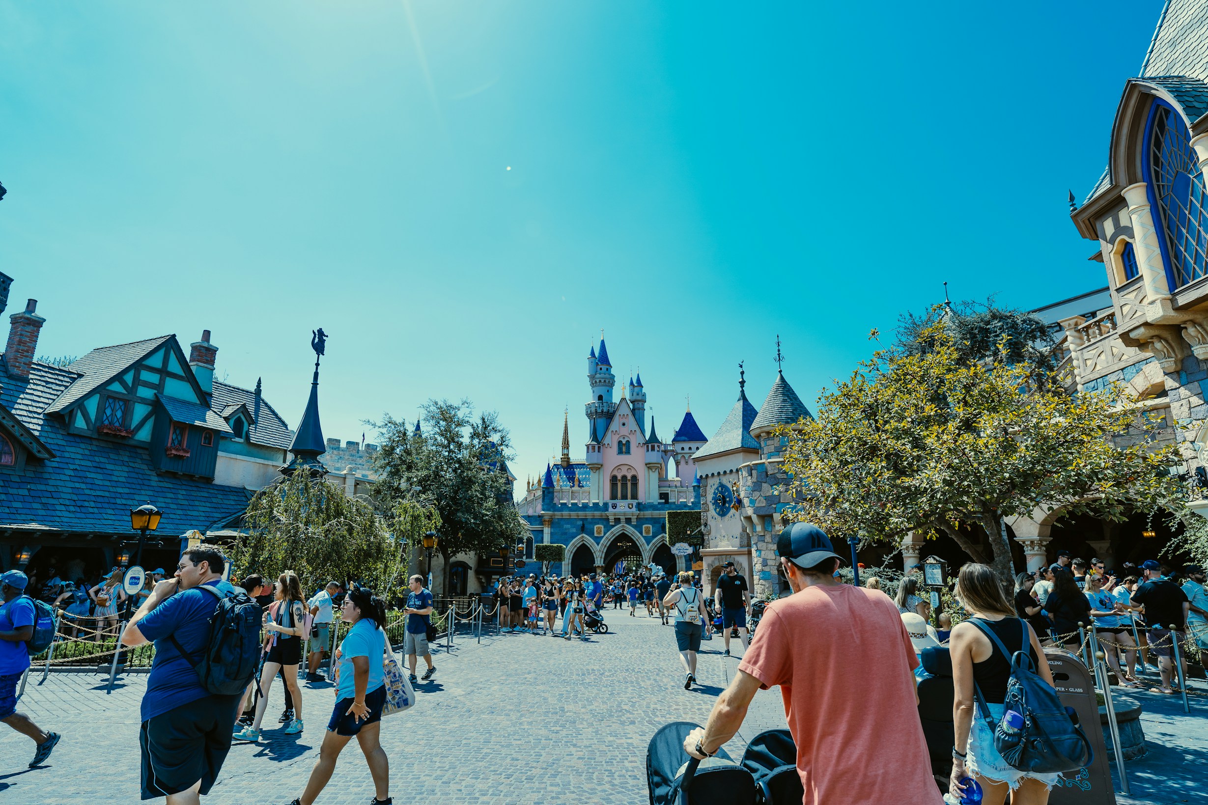 Disney Castle