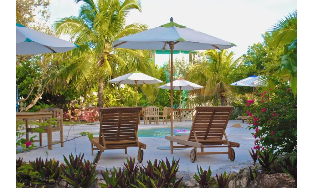 DVC resale &amp;amp;ndash; Explore magical Disney Vacation Club resorts and experiences for your next family adventure (25)