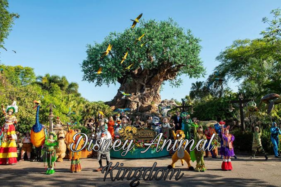 exploring-the-magic-why-the-disney-animal-kingdom-trail-should-not-be-missed