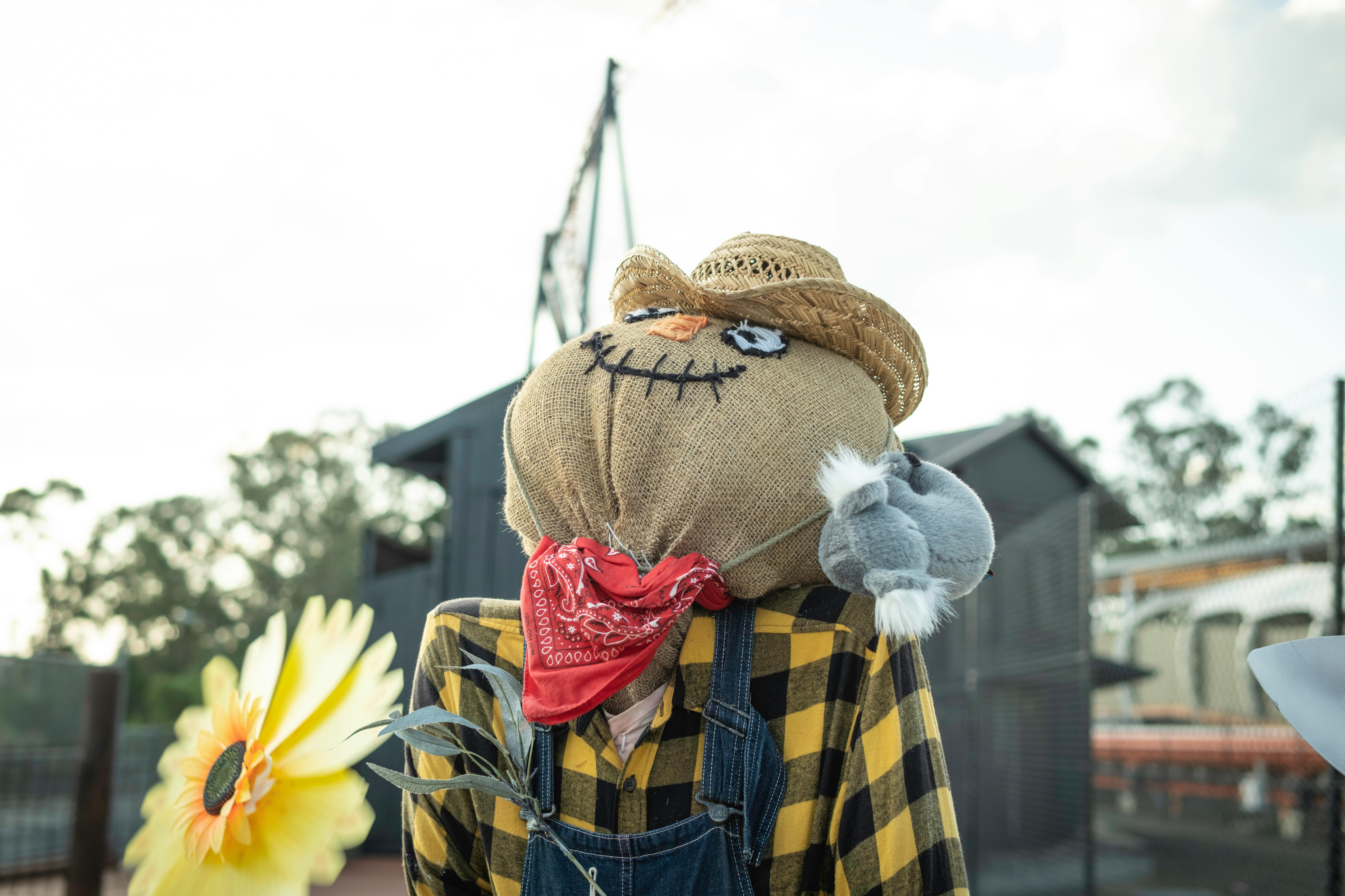 top-benefits-of-joining-the-disney-vacation-club
