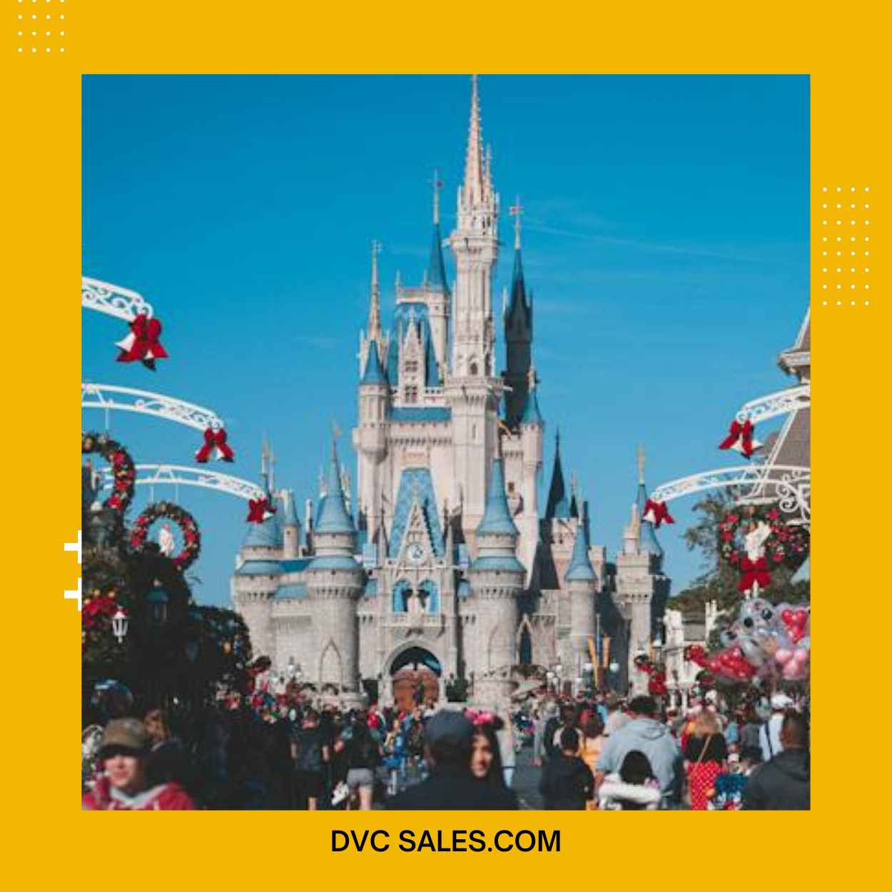 how-dvc-waitlist-works-its-rules-and-faqs