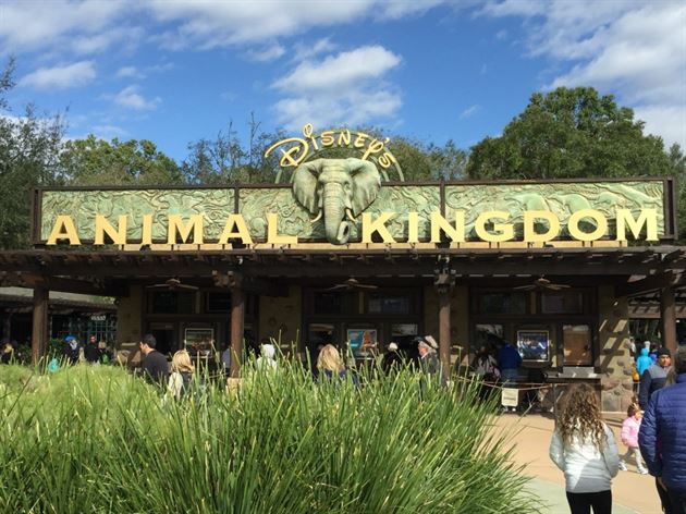 disneys-animal-kingdom-the-largest-disney-theme-park