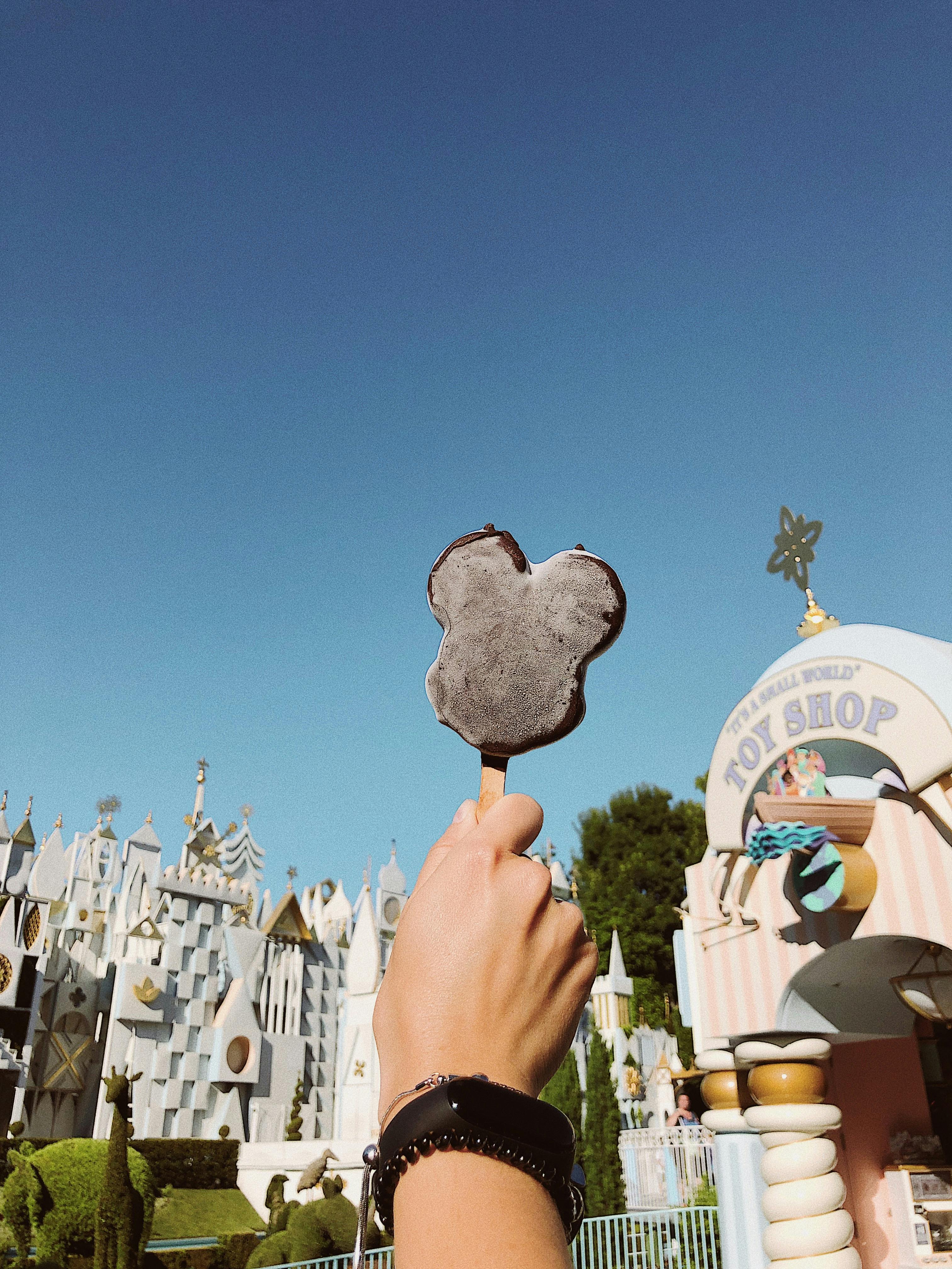 5-things-only-dvc-member-services-can-help-you-with